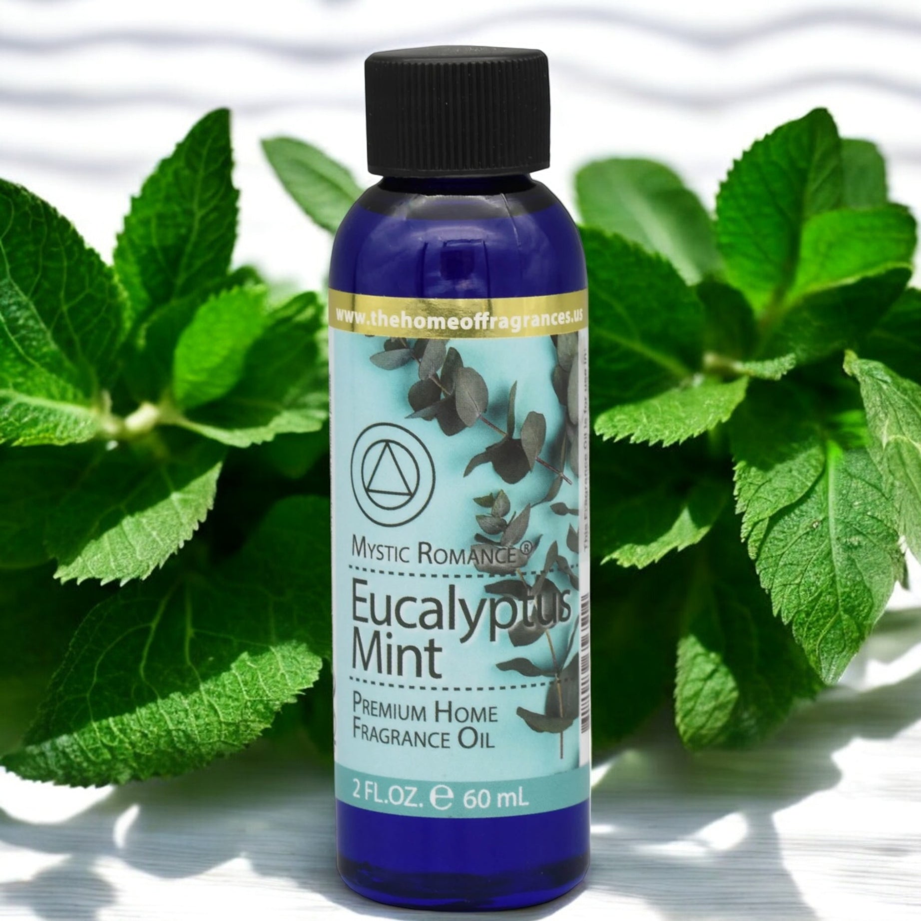 Eucalyptus Mint Fragrance Oil - 2oz -